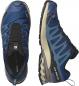 Preview: Salomon XA PRO 3D V9 GTX  Trailrunningschuh Herren