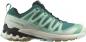 Preview: Salomon XA PRO 3D V9 GTX W Trailrunningschuh Damen