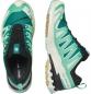 Preview: Salomon XA PRO 3D V9 GTX W Trailrunningschuh Damen