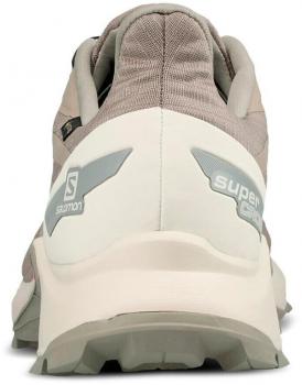 Salomon Supercross Blast GTX  Traillaufschuh Herren