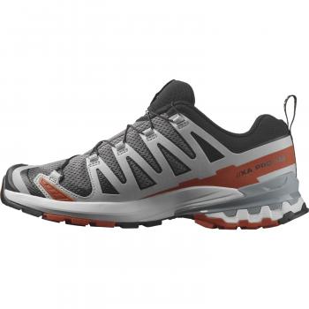 Salomon XA PRO 3D V9  Trailrunningschuh Herren