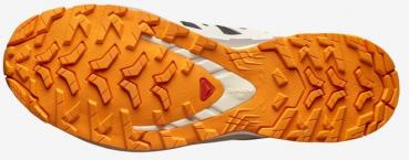 Salomon XA PRO 3D V9 GTX  Trailrunningschuh Herren