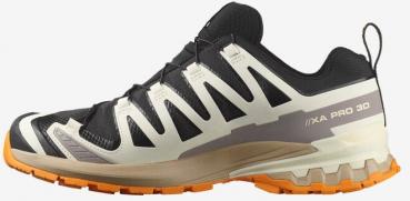 Salomon XA PRO 3D V9 GTX  Trailrunningschuh Herren