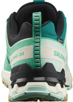 Salomon XA PRO 3D V9 GTX W Trailrunningschuh Damen