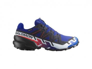 Salomon Speedcross 6 GTX Equipe Trailrunningschuh