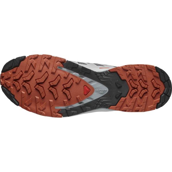 Salomon XA PRO 3D V9  Trailrunningschuh Herren
