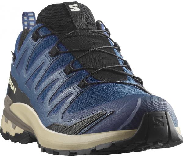 Salomon XA PRO 3D V9 GTX  Trailrunningschuh Herren