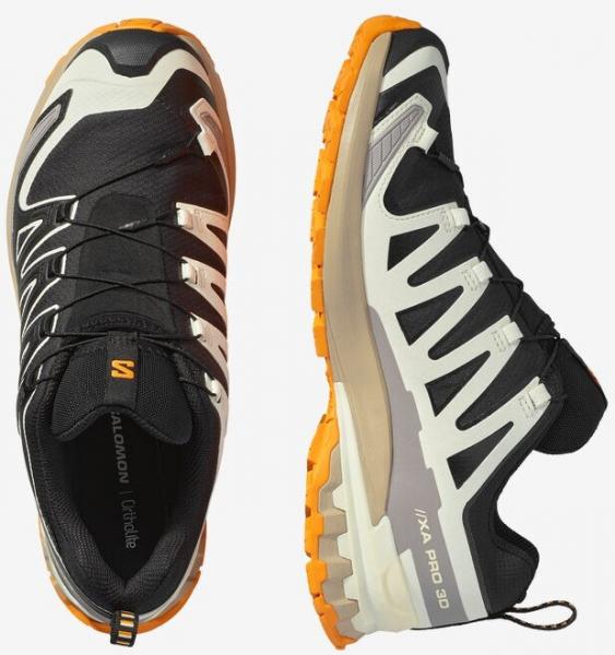 Salomon XA PRO 3D V9 GTX  Trailrunningschuh Herren
